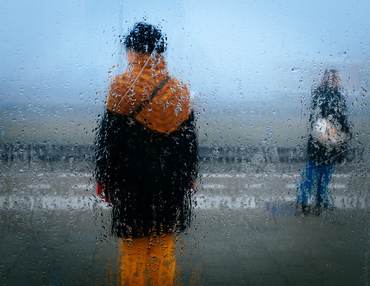 东北雨季的秘密，雨姐承认螃蟹是放到稻田里的