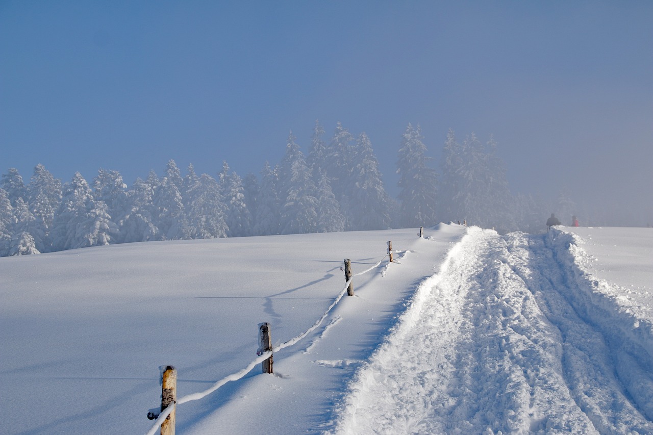 山西大同降大雪，游客白了头的冬日奇景