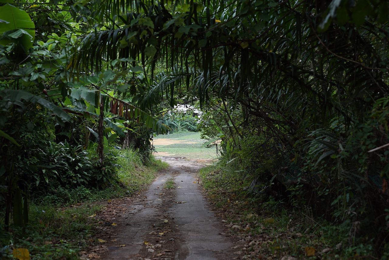 独库公路封闭时间确定，穿越天山的壮丽之旅即将重启